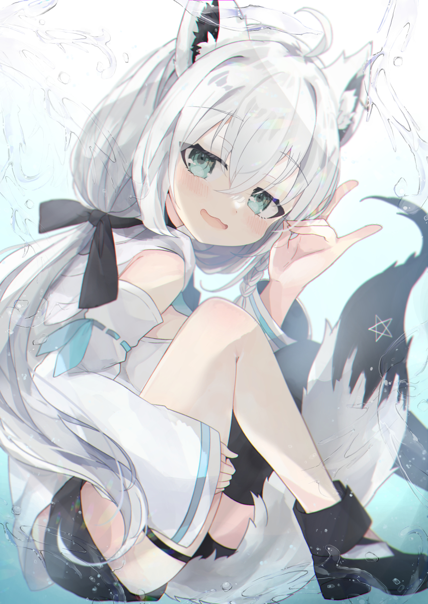 Shirakami Fubuki (Hololive) Rule 34 Image