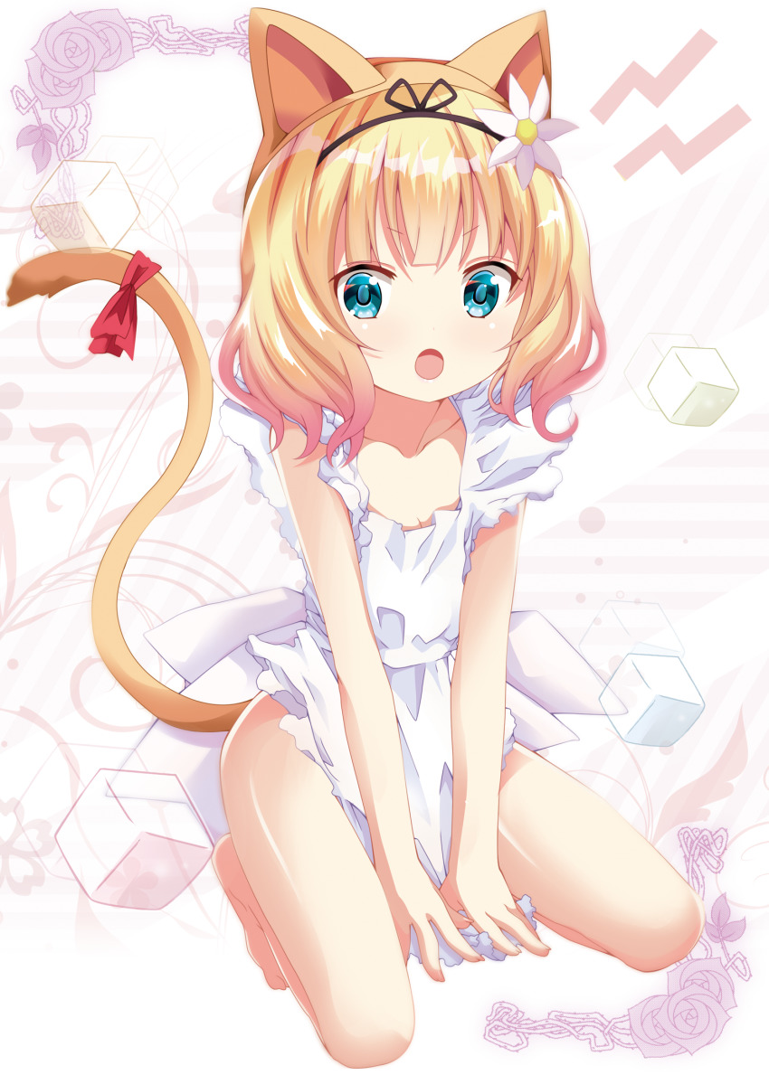 Kirima Syaro (Gochuumon Wa Usagi Desu Ka?) Rule 34 Image