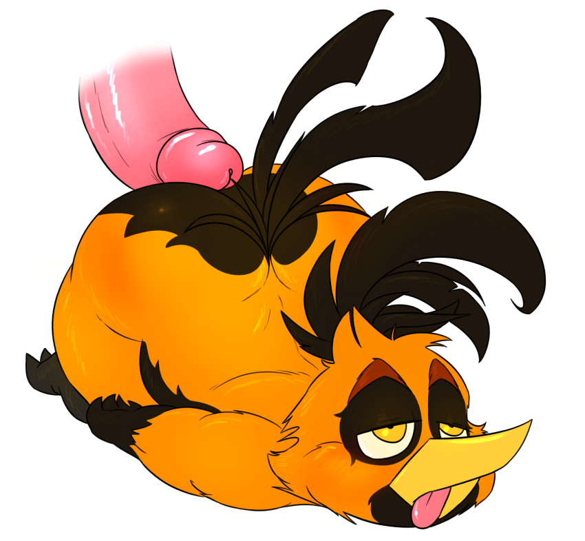 Angry Birds Rule 34 Image