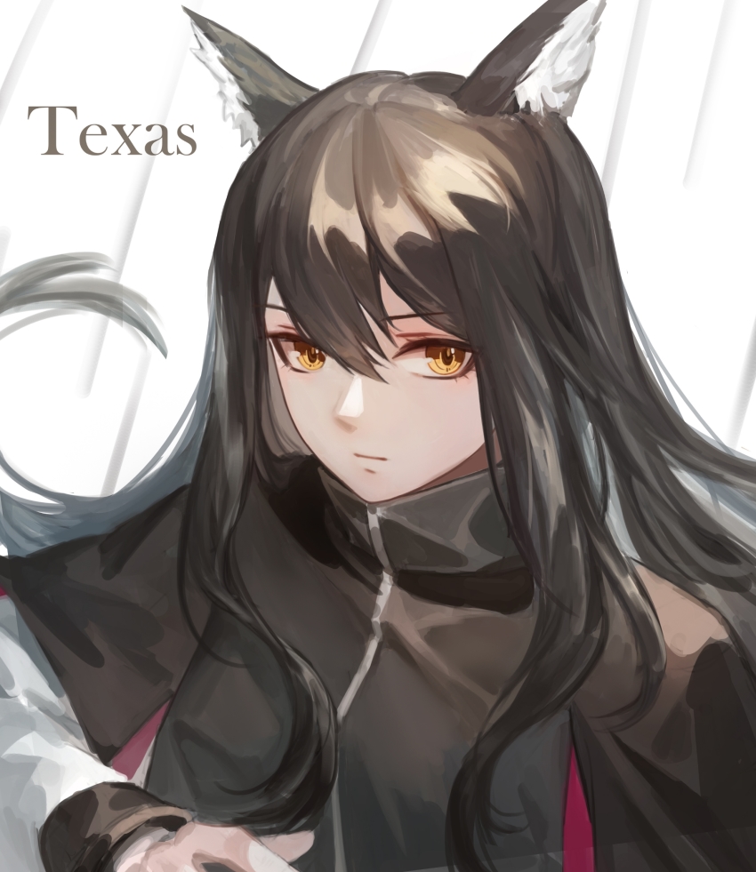 Texas (Arknights) Rule 34 Image