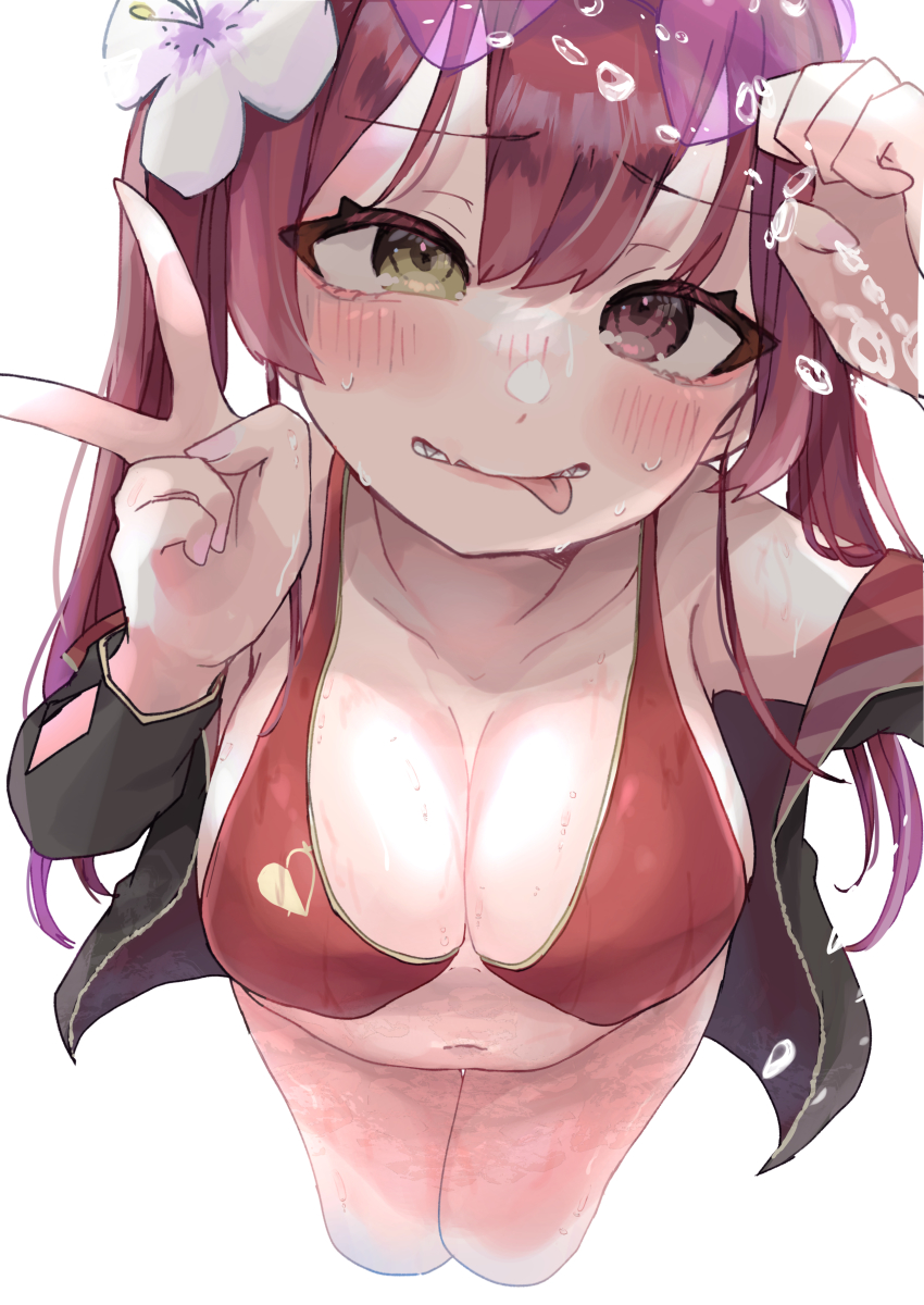 Houshou Marine (Hololive) Rule 34 Image