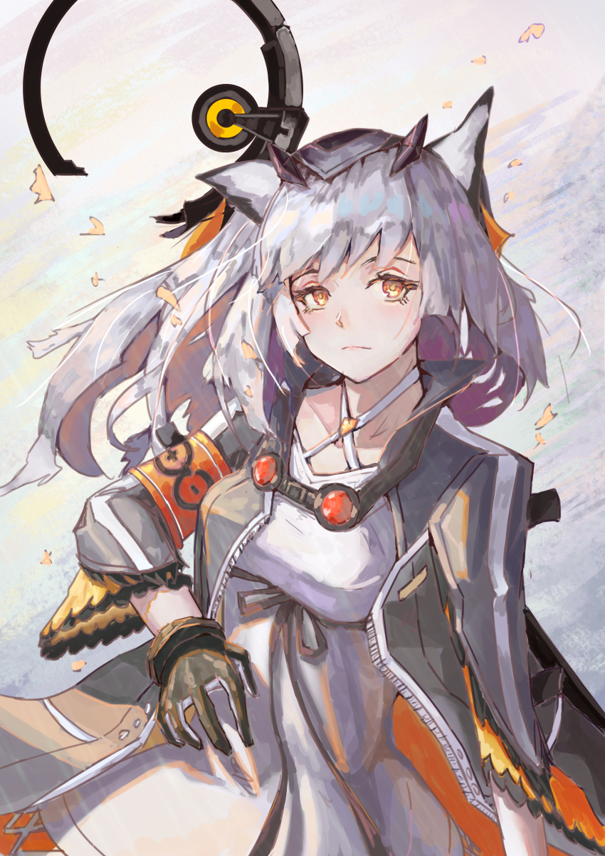 Ptilopsis (Arknights) Rule 34 Image
