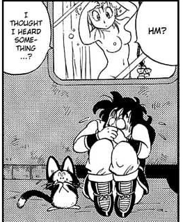 Bulma Briefs (Dragon Ball) Rule 34 Image