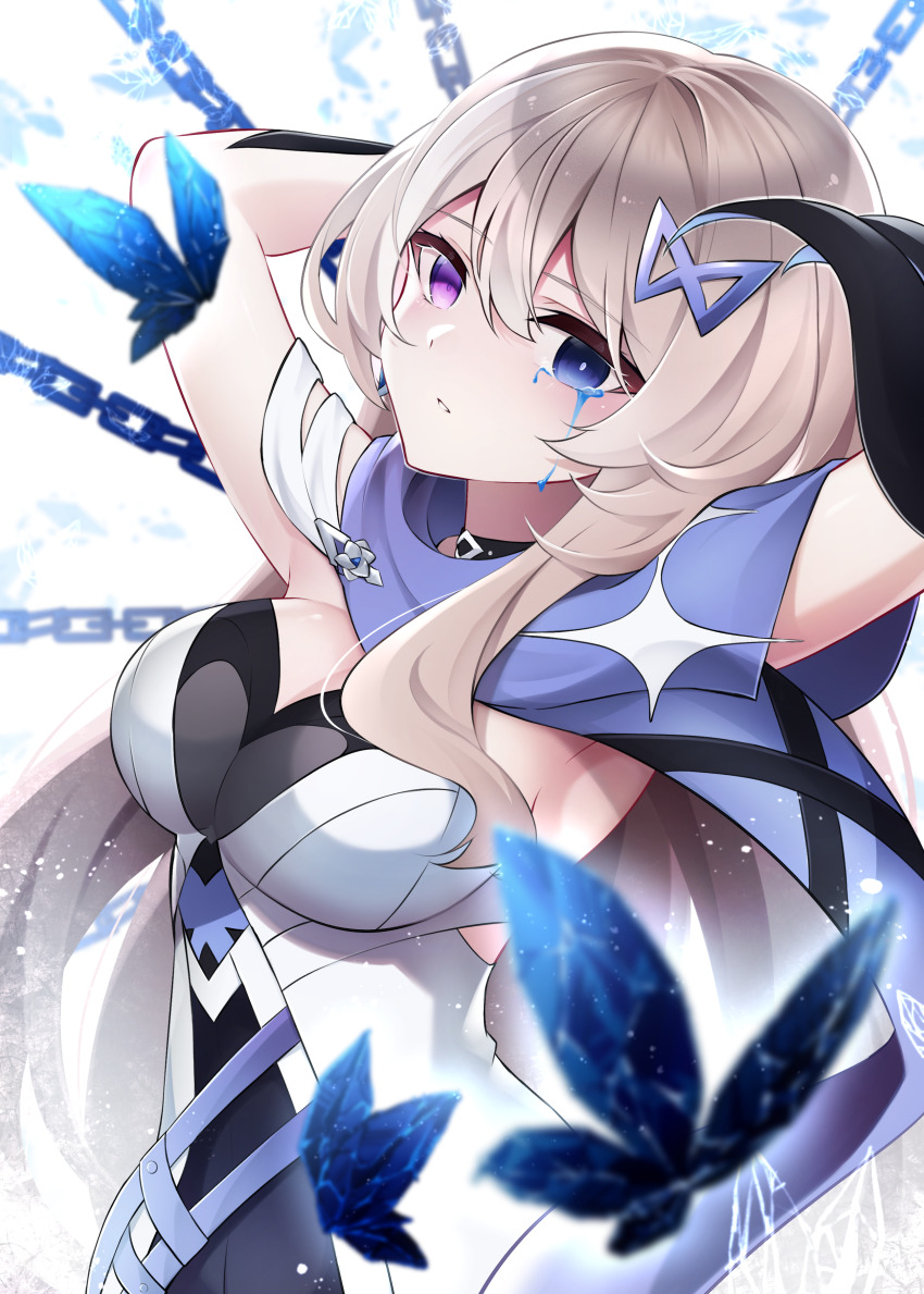 Honkai (Series) Rule 34 Image