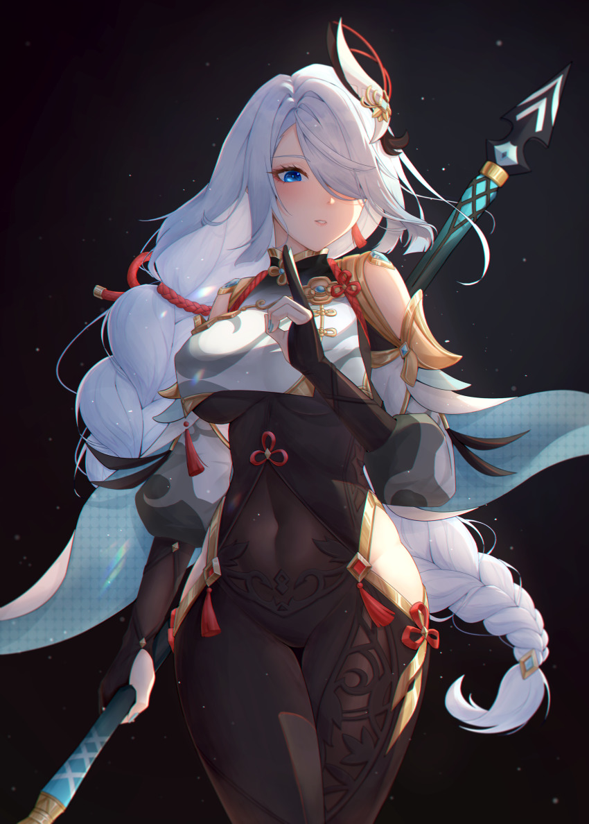 Shenhe (Genshin Impact) Rule 34 Image