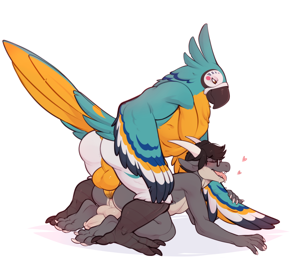 Kass (Tloz) Rule 34 Image