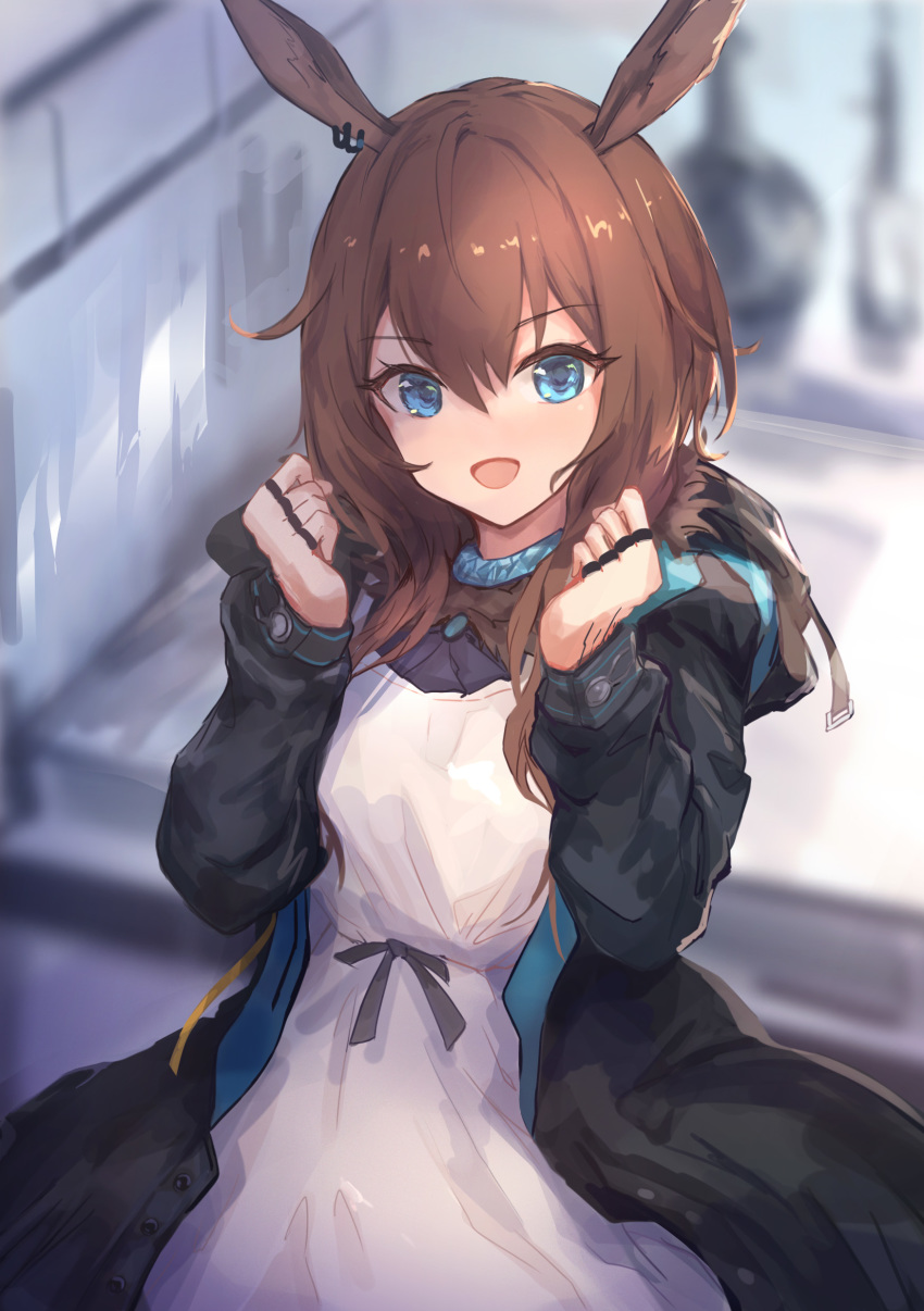 Amiya (Arknights) Rule 34 Image