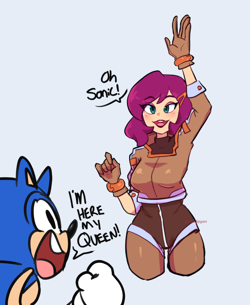 Sonic The Hedgehog (Sonic (Series)) Rule 34 Image