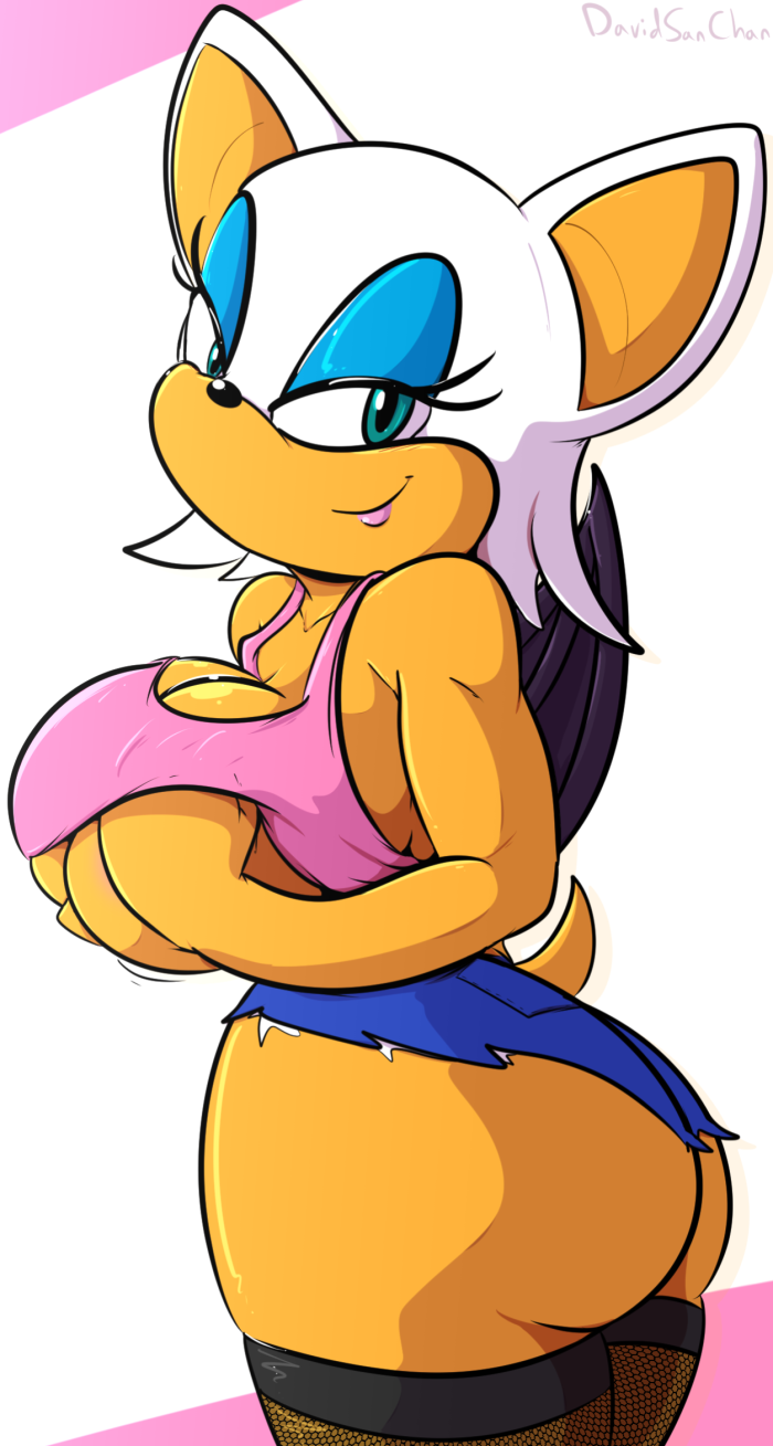 Rouge The Bat (Sega) Rule 34 Image