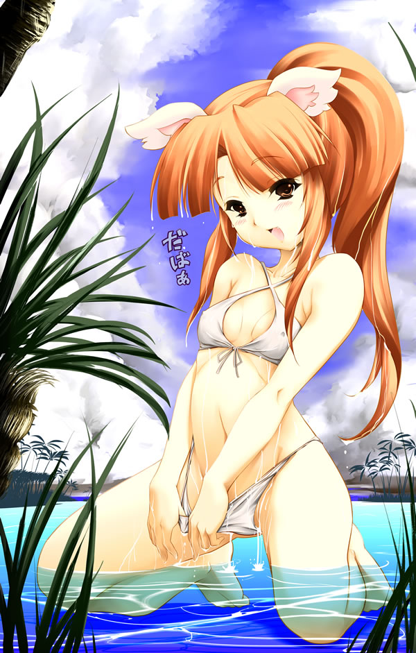 Fushigiboshi No Futago Hime Rule 34 Image