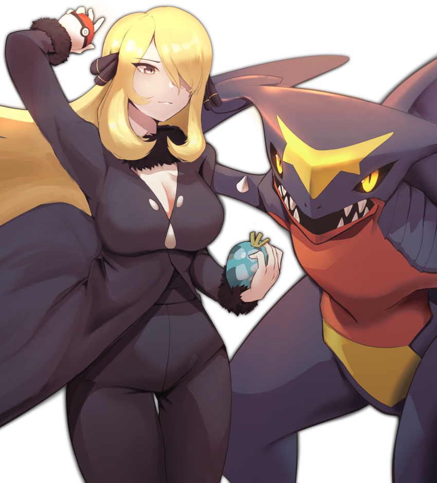 Cynthia (Pokemon) Rule 34 Image