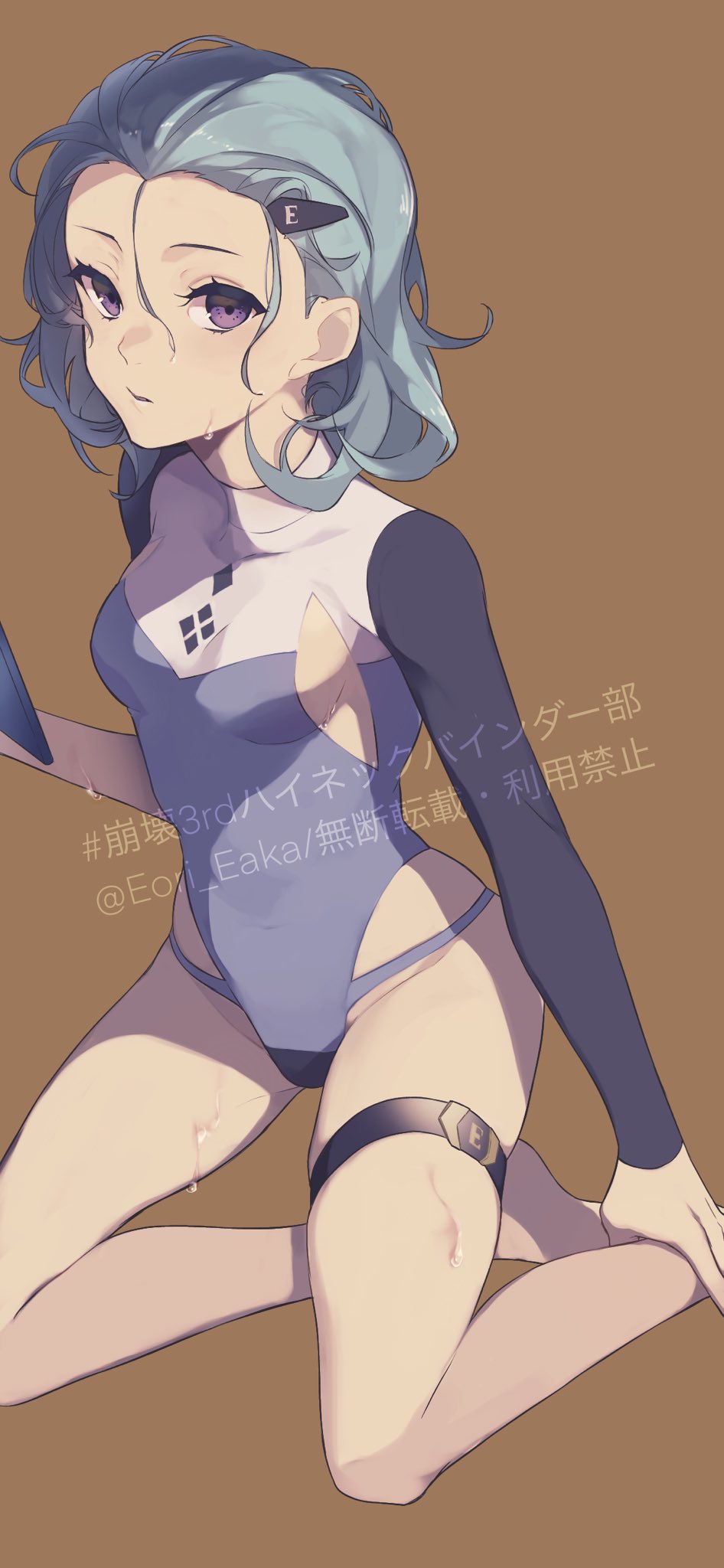 Honkai (Series) Rule 34 Image