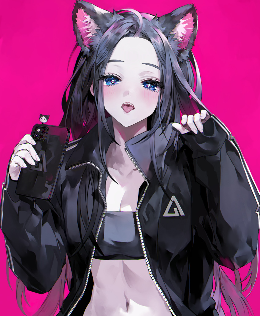 Nyan Rule 34 Image