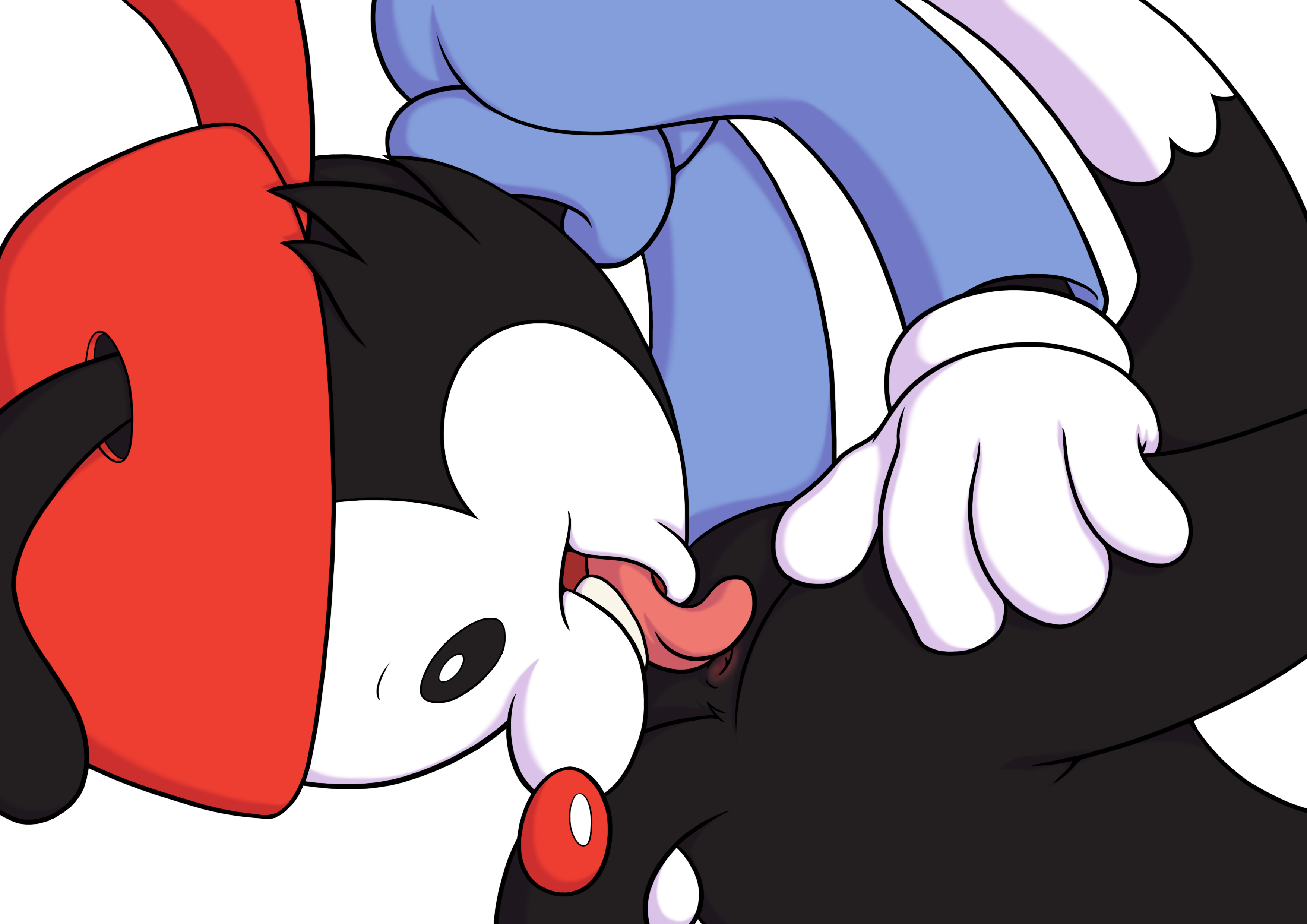 Wakko Warner (Animaniacs) Rule 34 Image