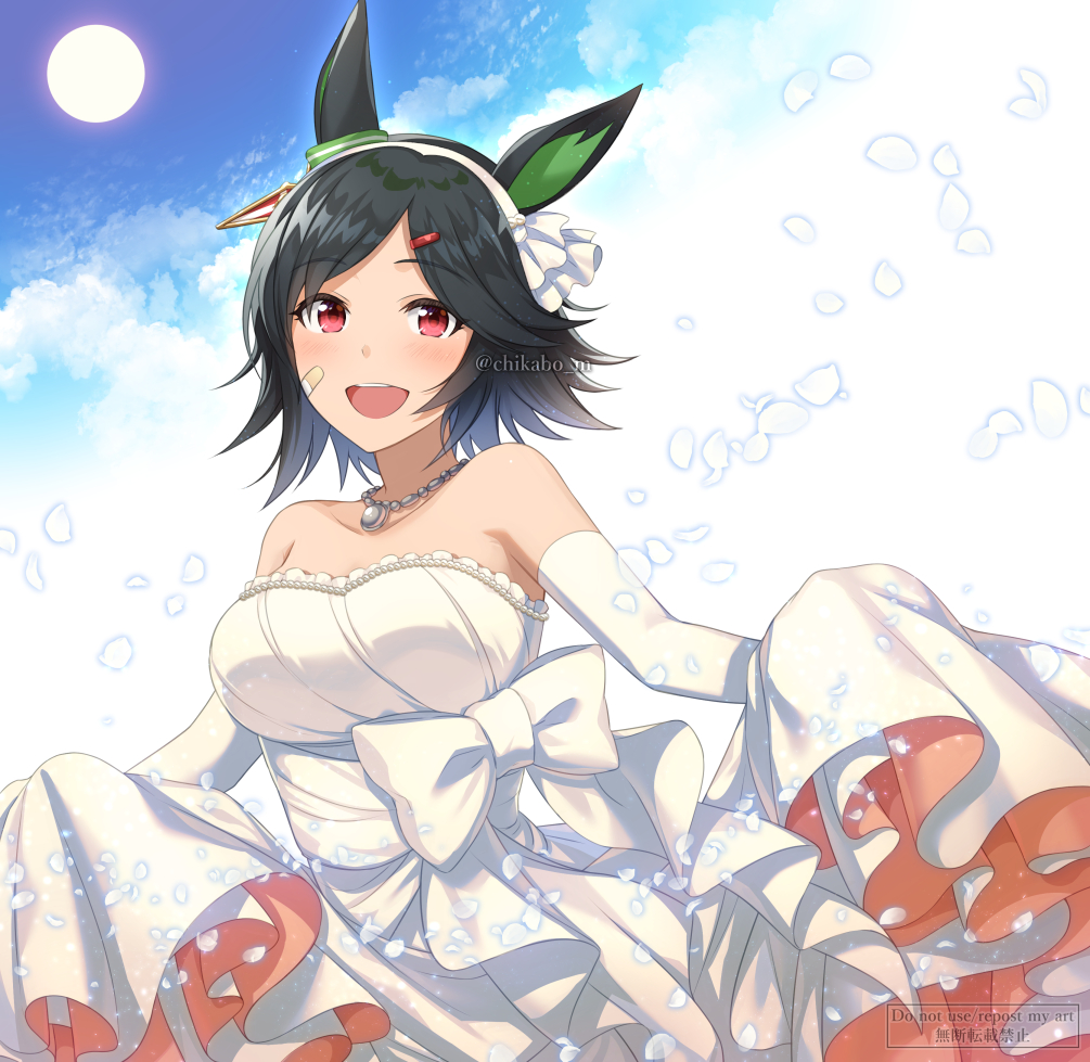 Winning Ticket (Umamusume) Rule 34 Image