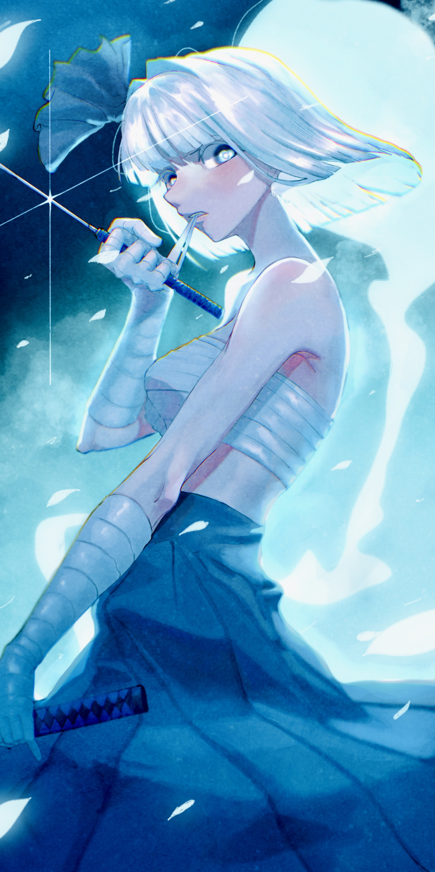 Konpaku Youmu (Touhou) Rule 34 Image