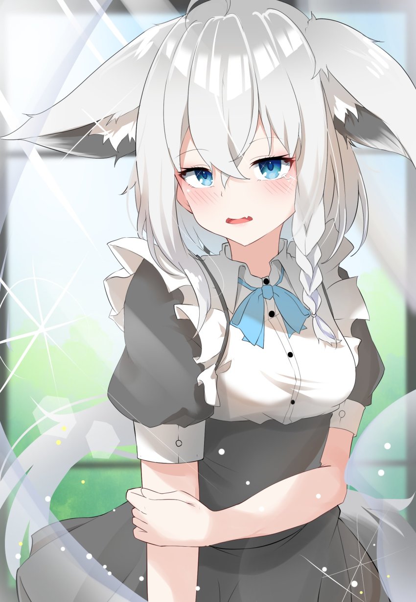 Shirakami Fubuki (Hololive) Rule 34 Image