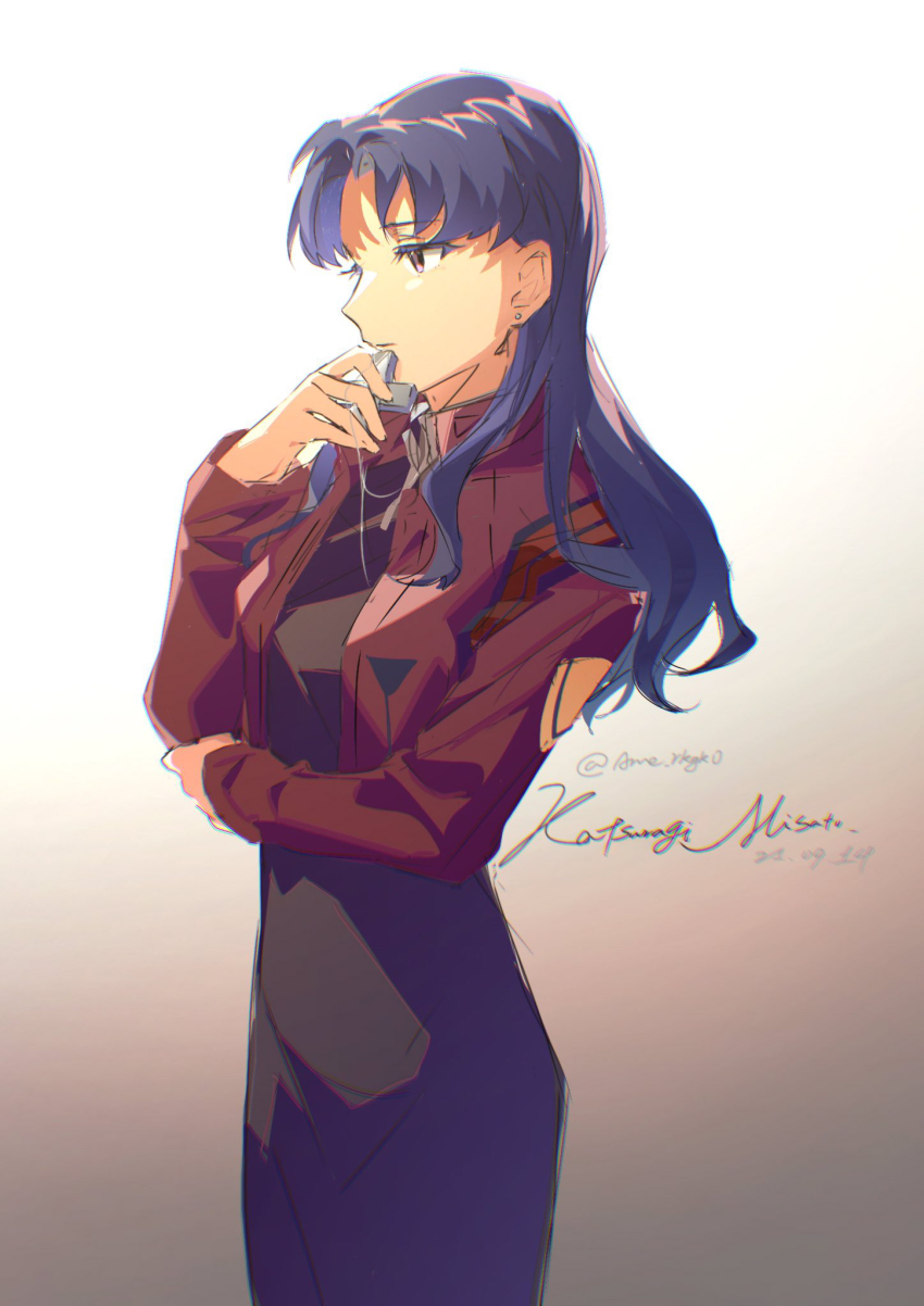 Katsuragi Misato (Neon Genesis Evangelion) Rule 34 Image