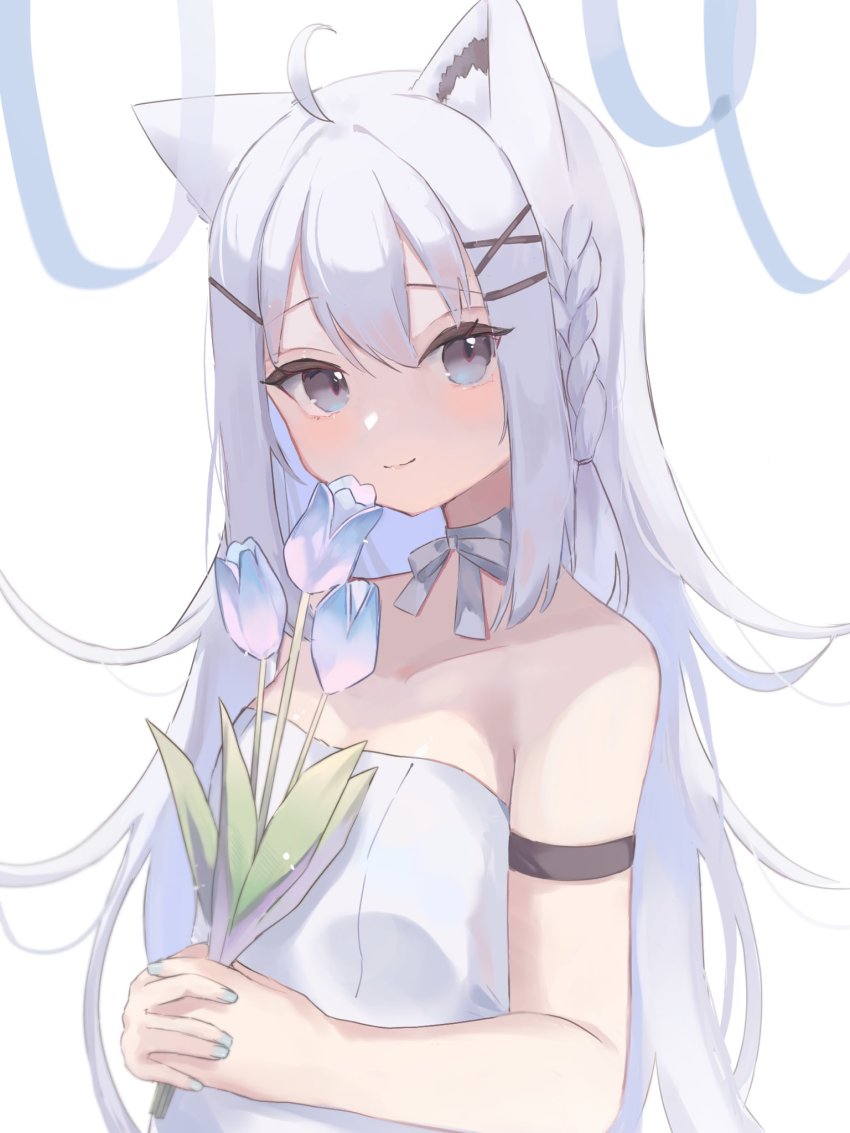 Shirakami Fubuki (Hololive) Rule 34 Image