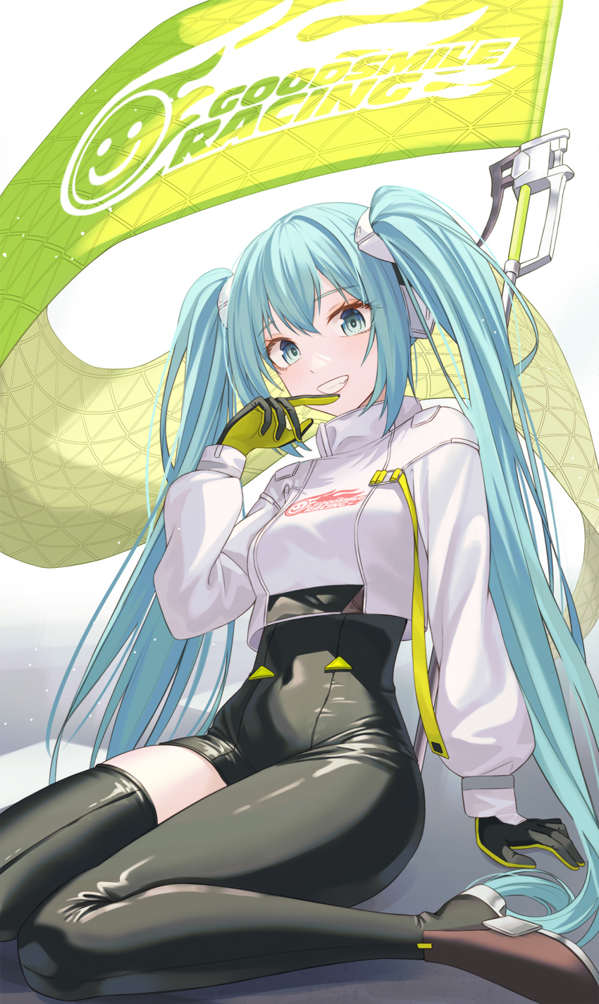 Hatsune Miku (Goodsmile Company) Rule 34 Image