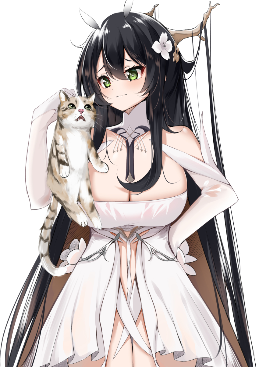 Indomitable (Azur Lane) Rule 34 Image