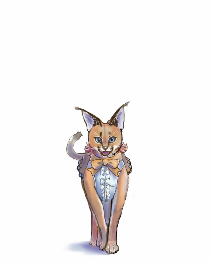 Caracal (Kemono Friends) Rule 34 Image