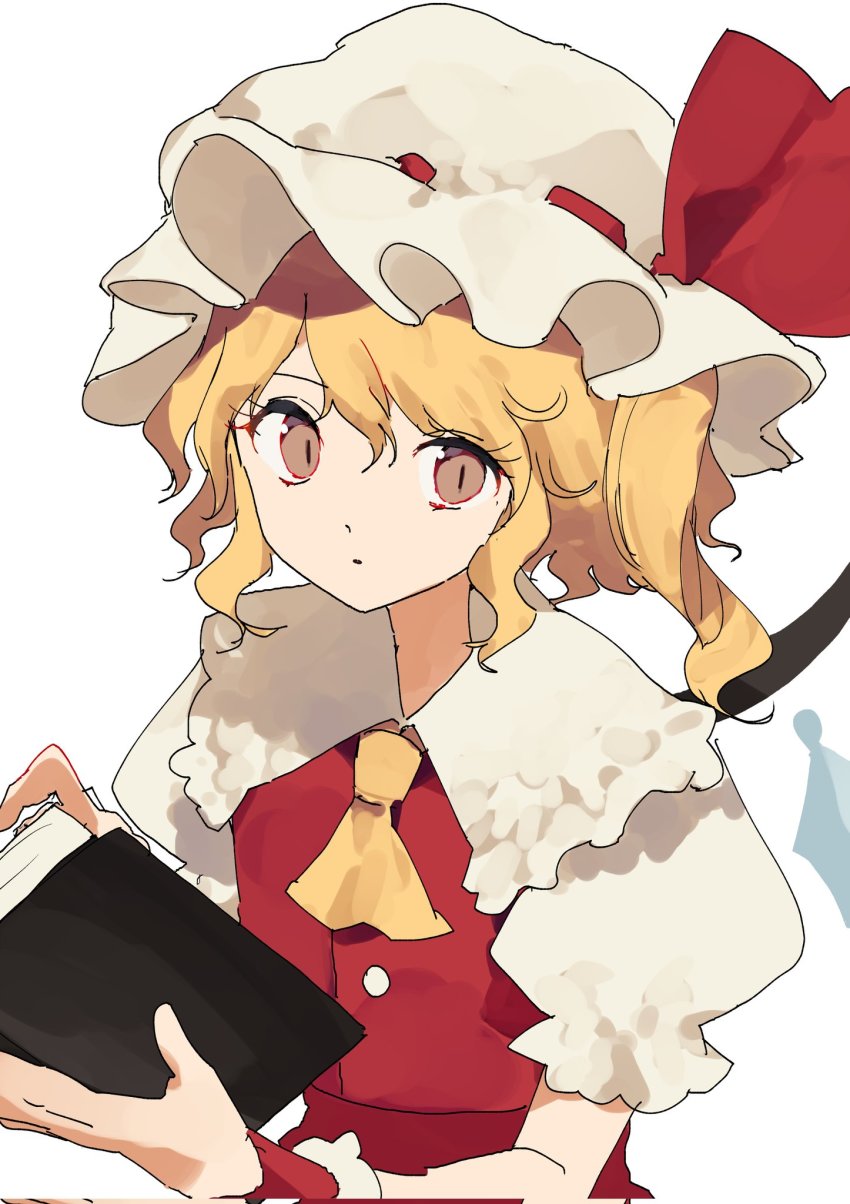 Flandre Scarlet (Touhou) Rule 34 Image