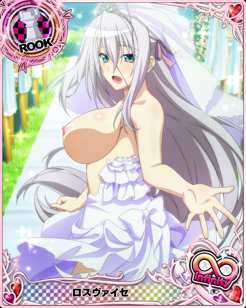 Rossweisse (High School Dxd) Rule 34 Image