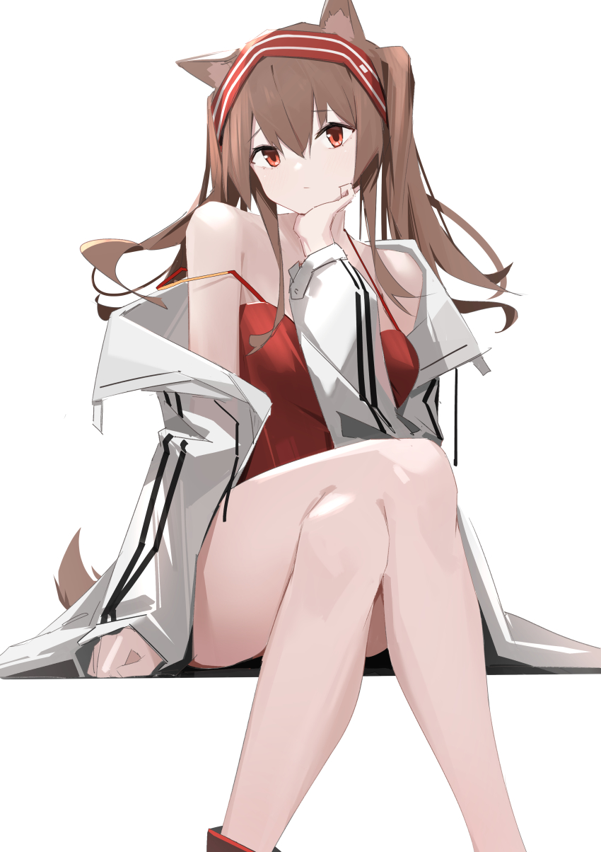 Angelina (Arknights) Rule 34 Image