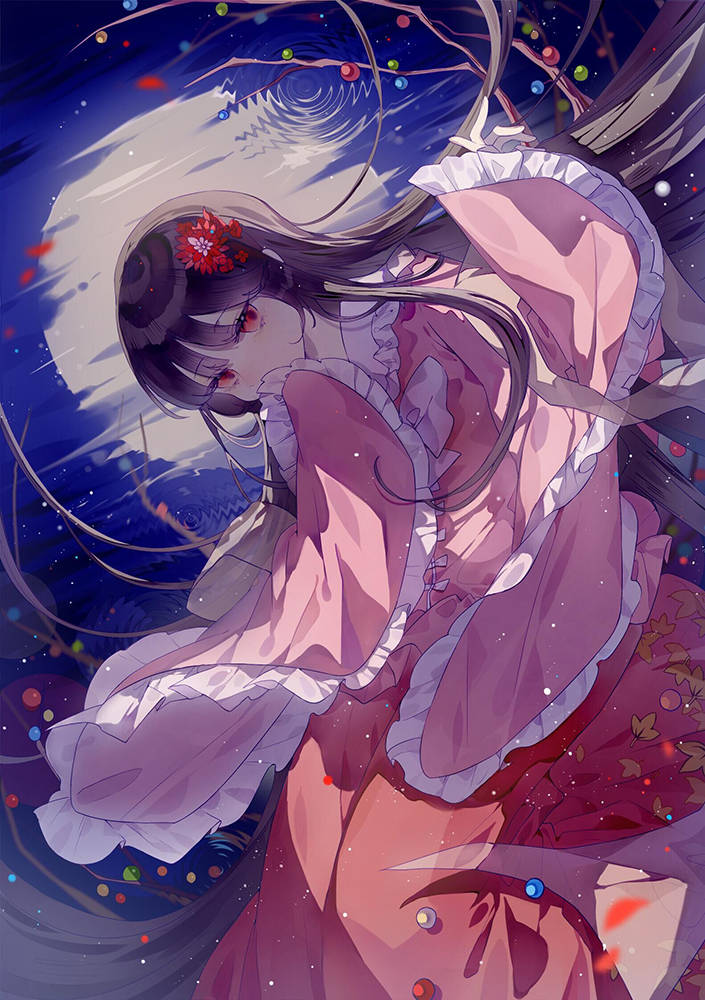 Houraisan Kaguya (Touhou) Rule 34 Image