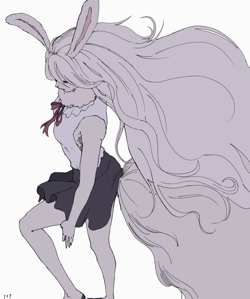 Carrot (One Piece) Rule 34 Image