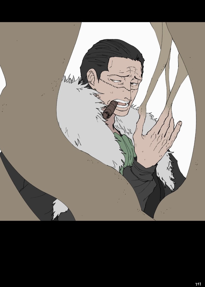 Crocodile (One Piece) Rule 34 Image