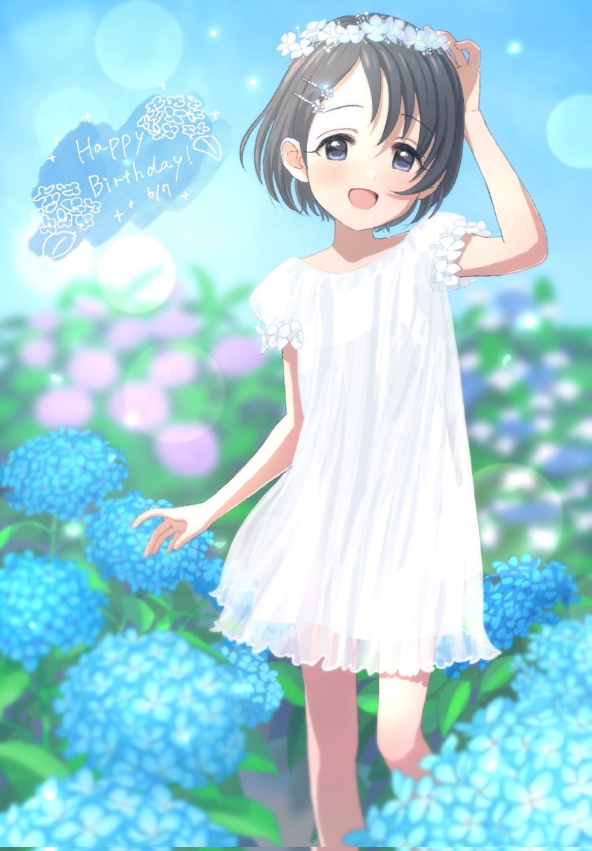 Sasaki Chie (Idolmaster) Rule 34 Image