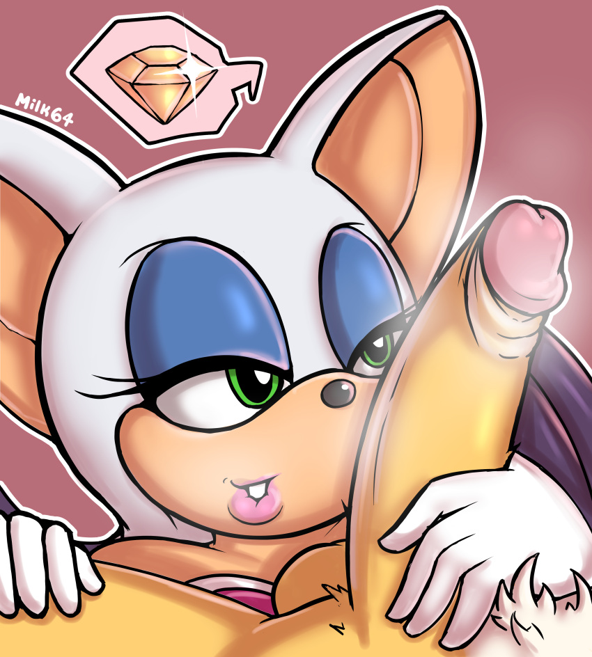 Rouge The Bat (Sega) Rule 34 Image