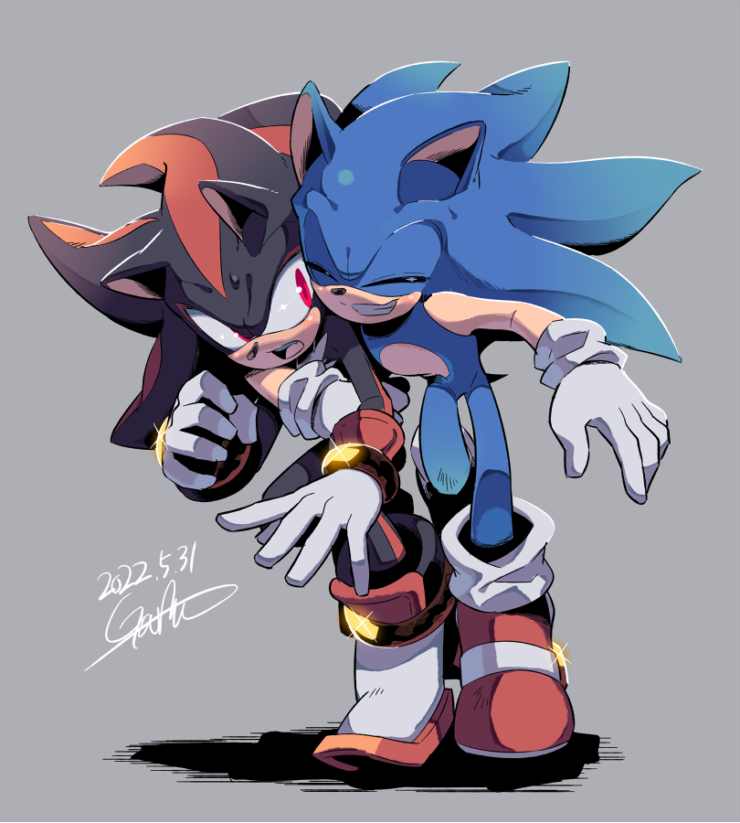 Shadow The Hedgehog (Sonic (Series)) Rule 34 Image