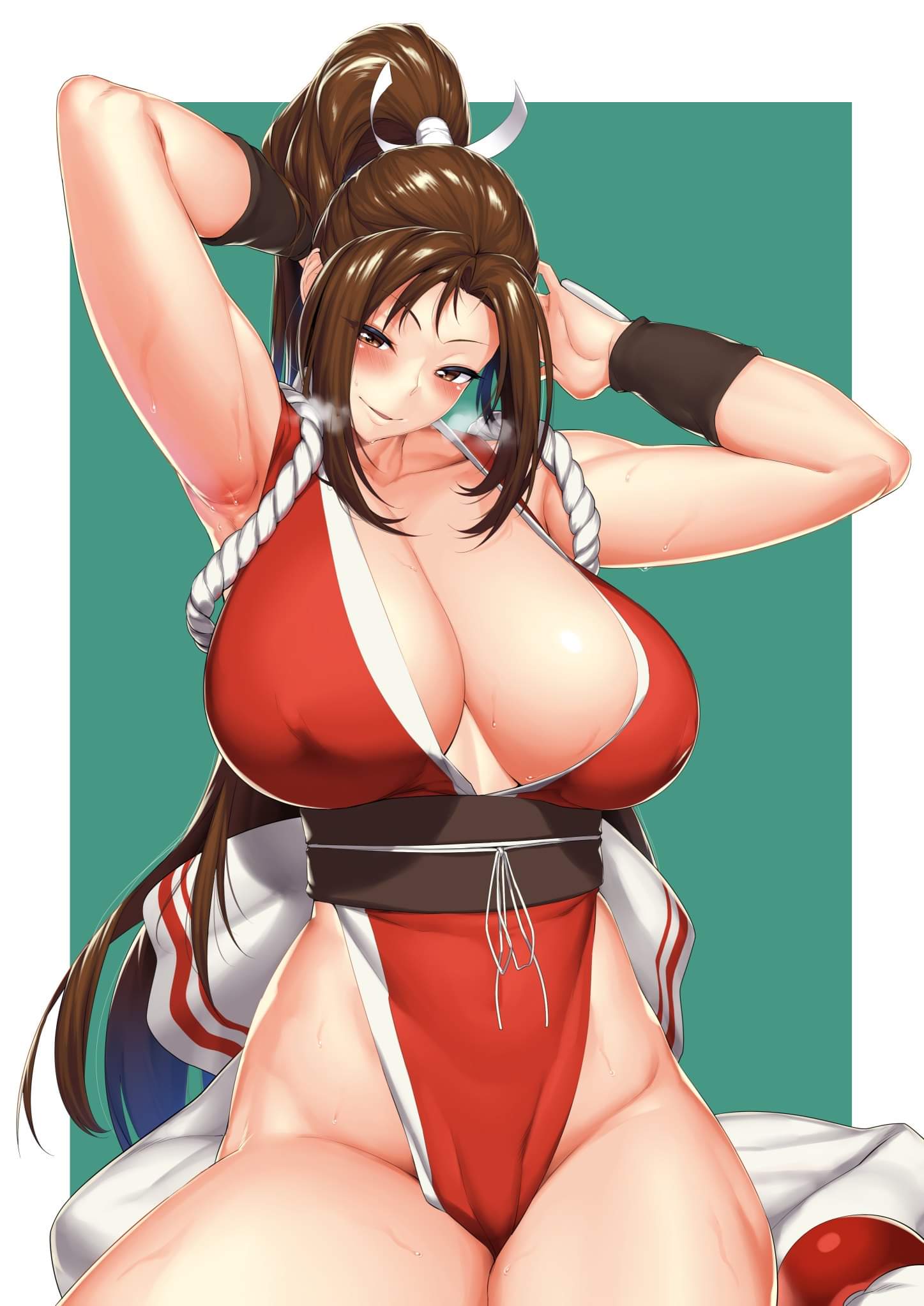 Mai Shiranui (Fatal Fury) Rule 34 Image