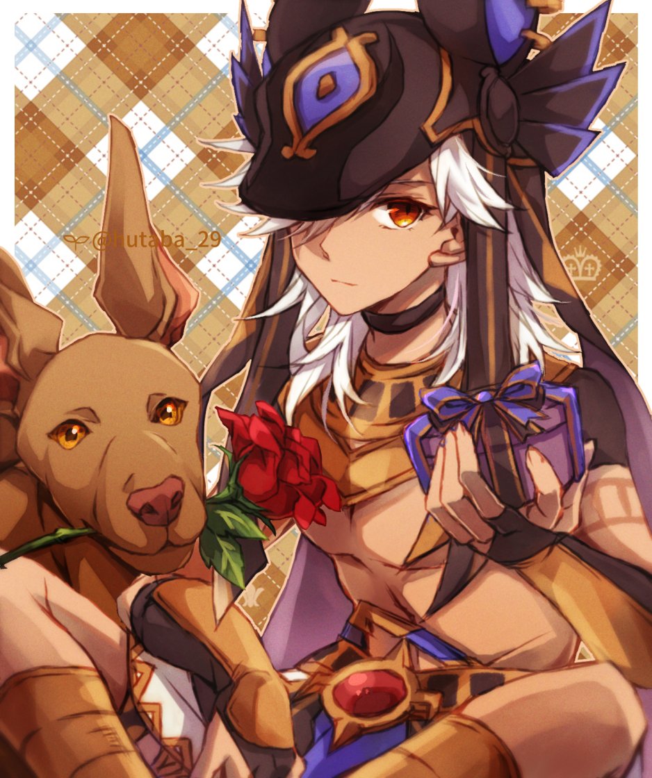 Cyno (Genshin Impact) Rule 34 Image