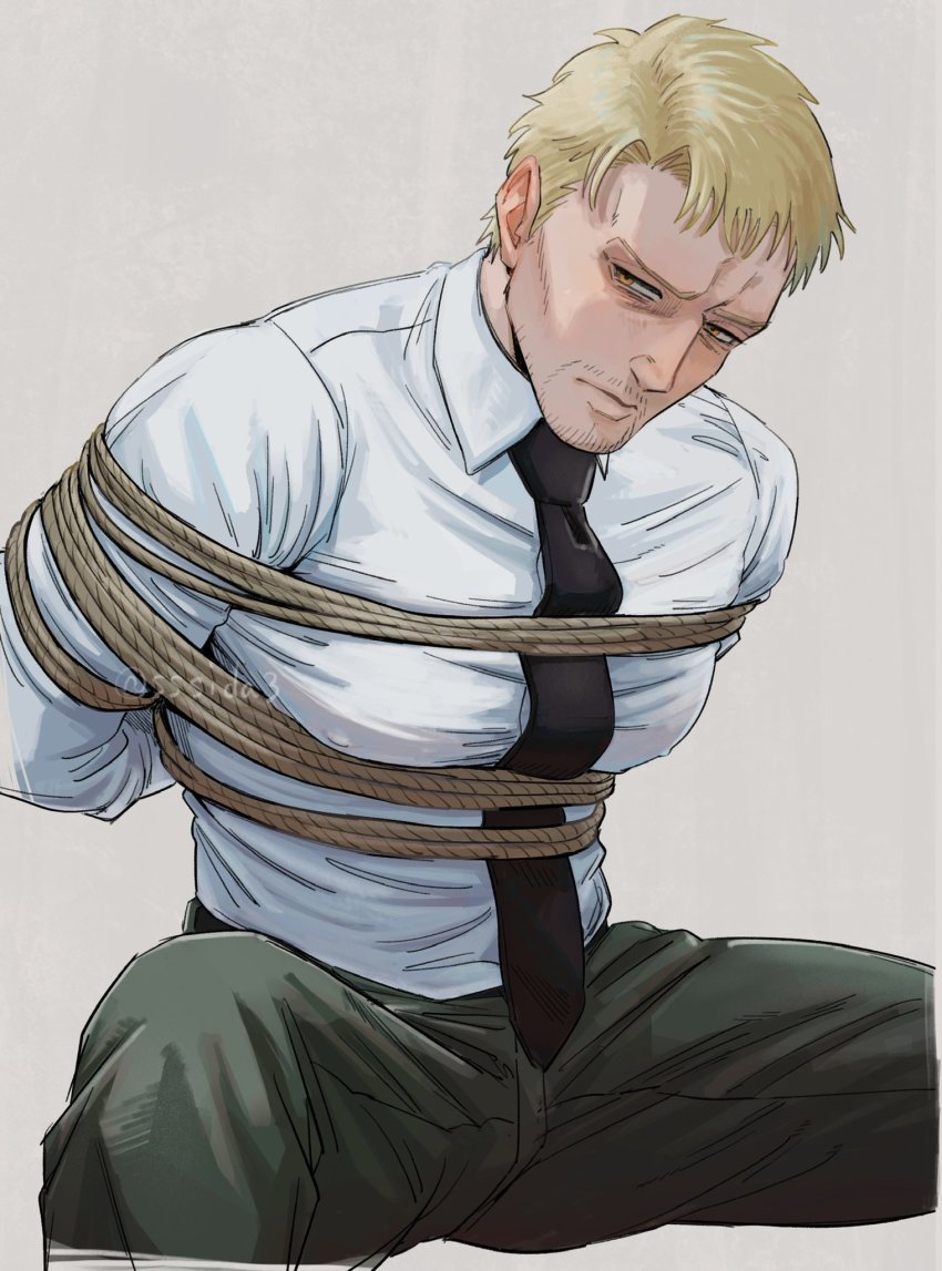 Reiner Braun (Shingeki No Kyojin) Rule 34 Image