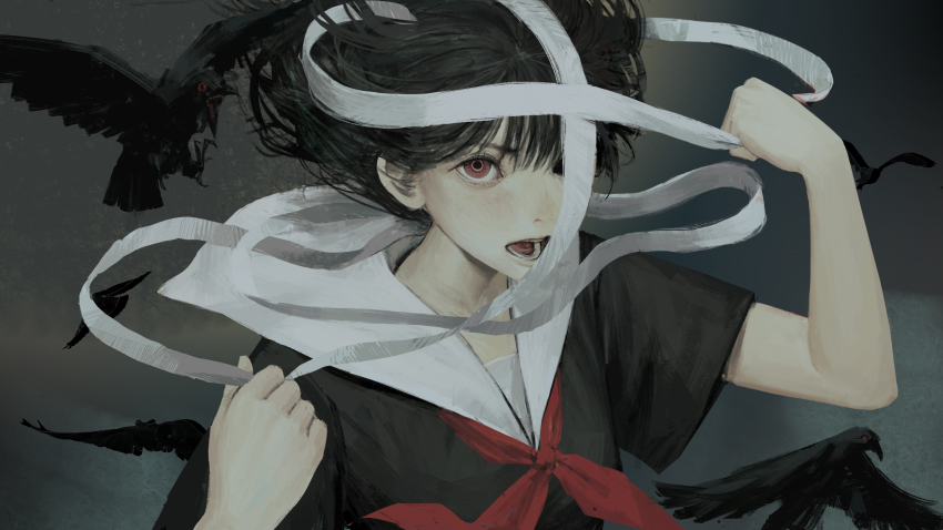 Shameimaru Aya (Touhou) Rule 34 Image