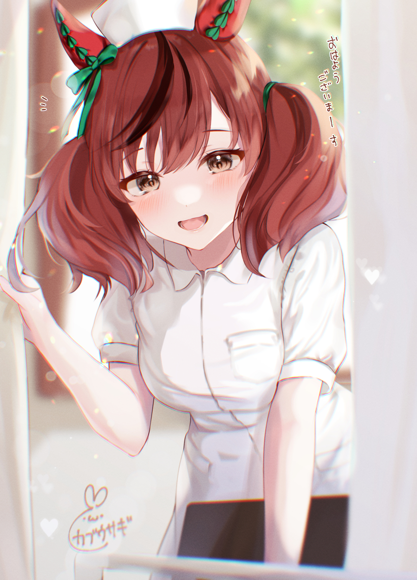 Nice Nature (Umamusume) Rule 34 Image