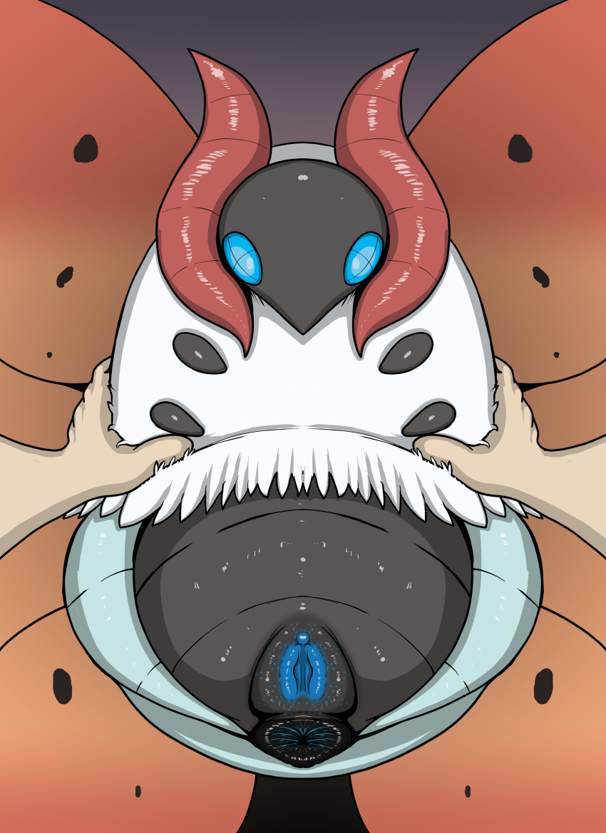 Generation 5 Pokemon (Nintendo) Rule 34 Image