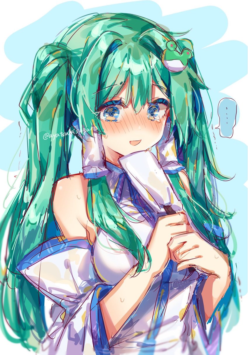 Kochiya Sanae (Touhou) Rule 34 Image