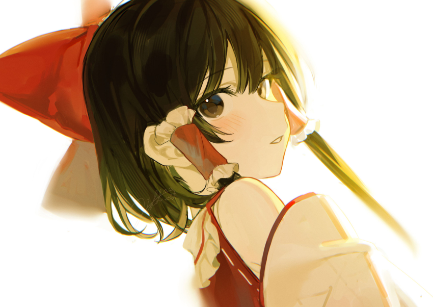 Hakurei Reimu (Touhou) Rule 34 Image