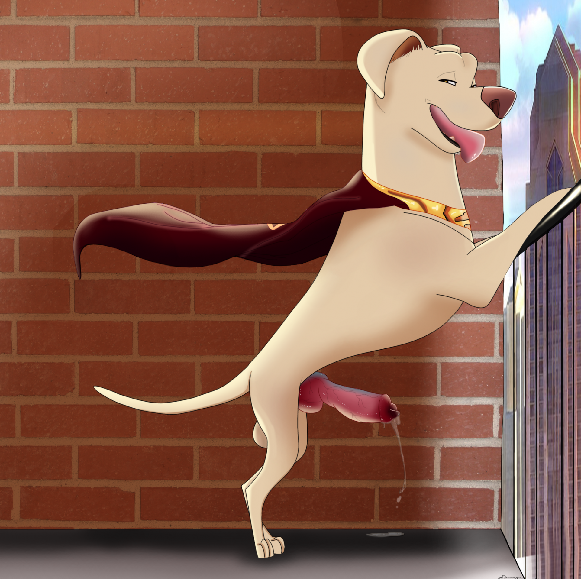 Krypto Rule 34 Image