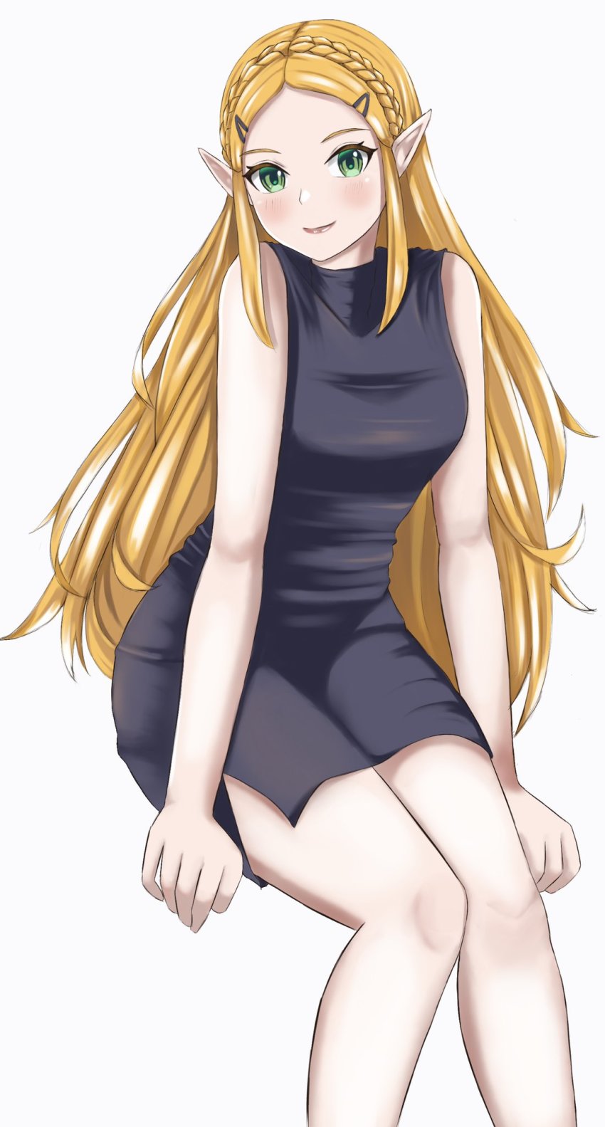 Princess Zelda (Nintendo) Rule 34 Image