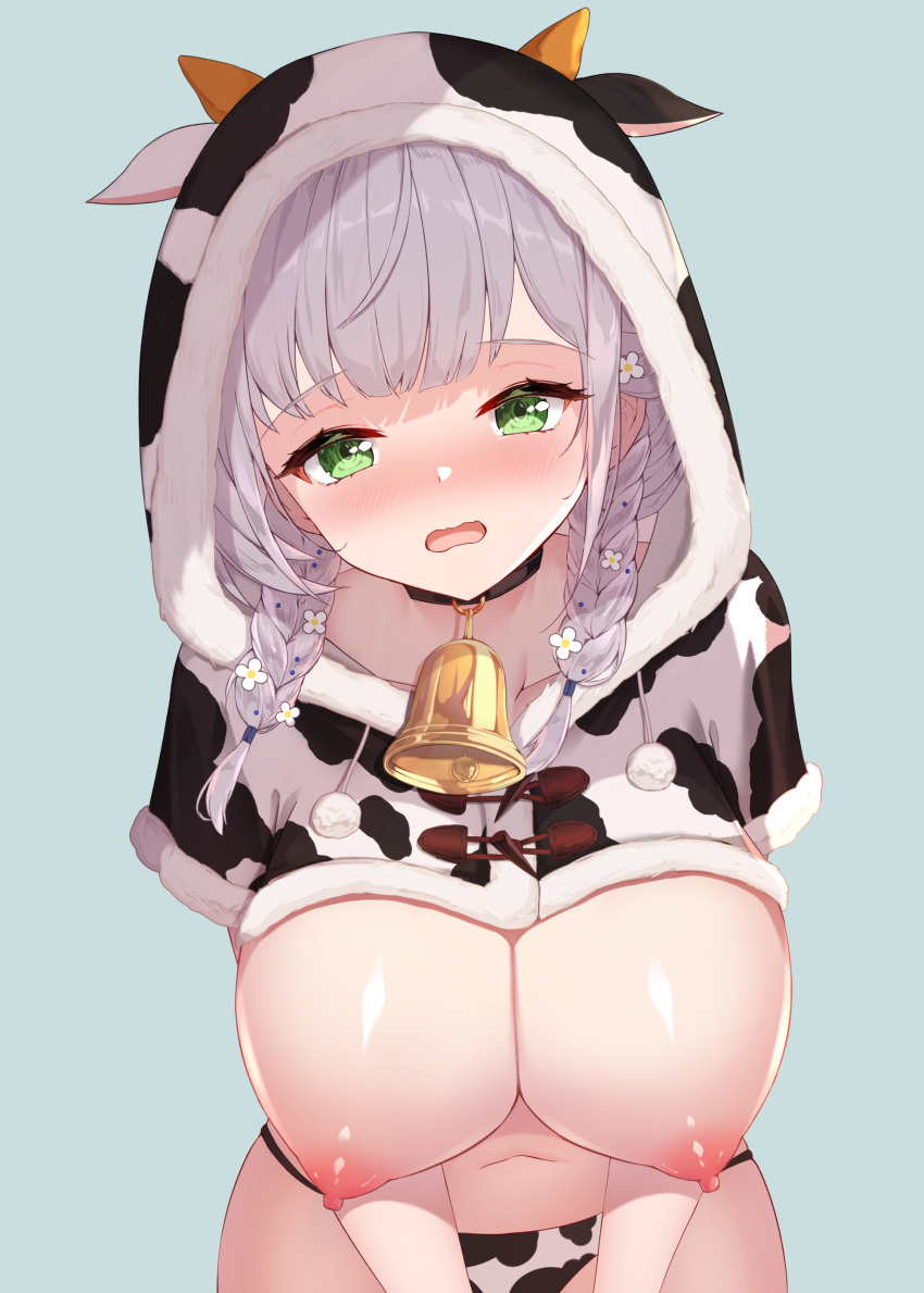 Shirogane Noel (Hololive) Rule 34 Image