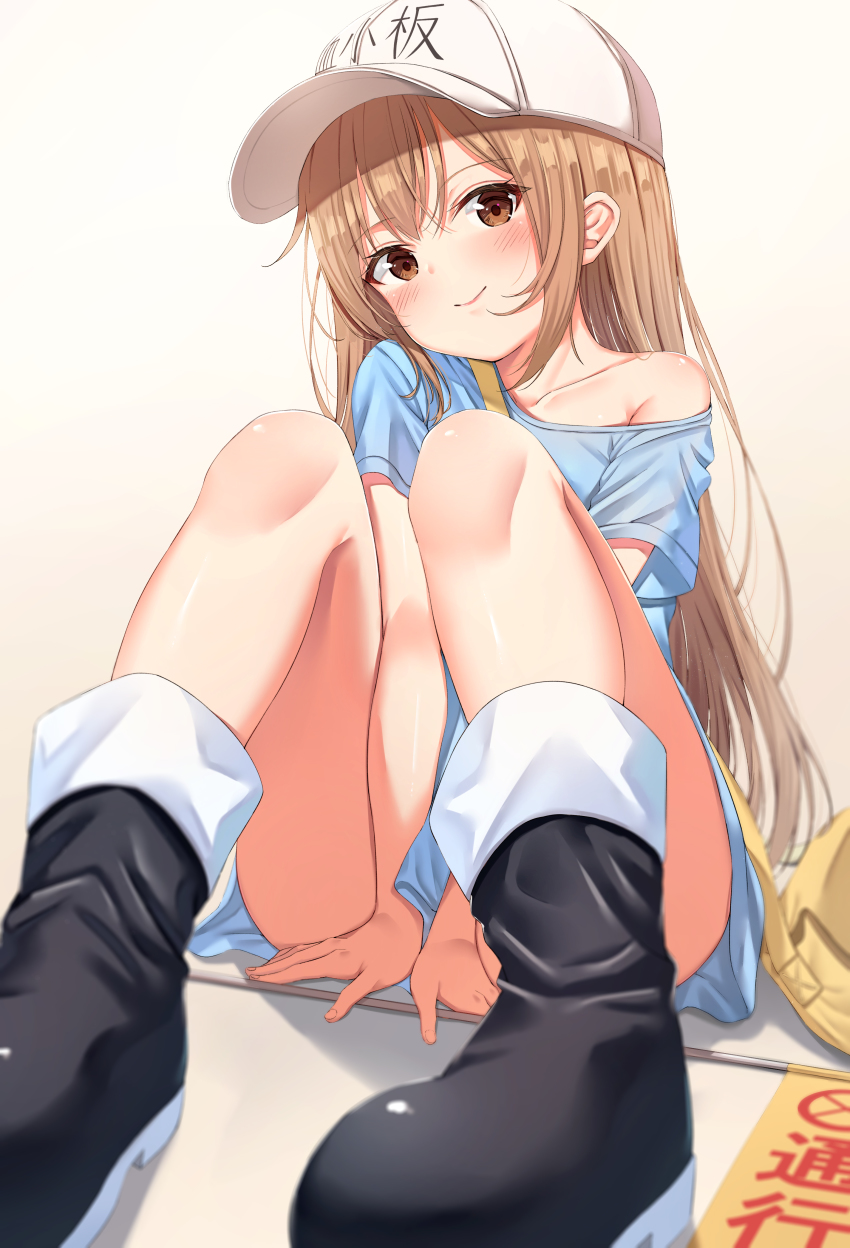 Hataraku Saibou Rule 34 Image