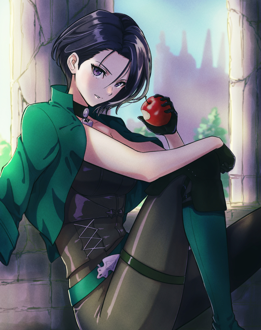 Shamir Nevrand (Fire Emblem) Rule 34 Image