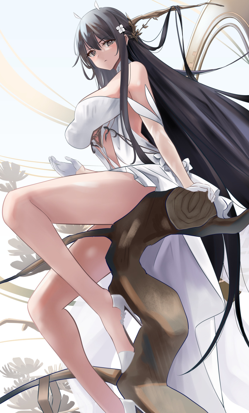 Indomitable (Azur Lane) Rule 34 Image