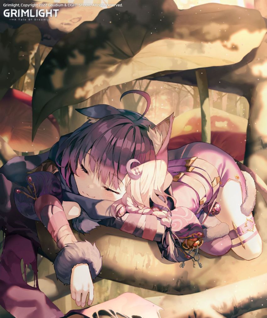 Cheshire Cat (Grimlight) Rule 34 Image
